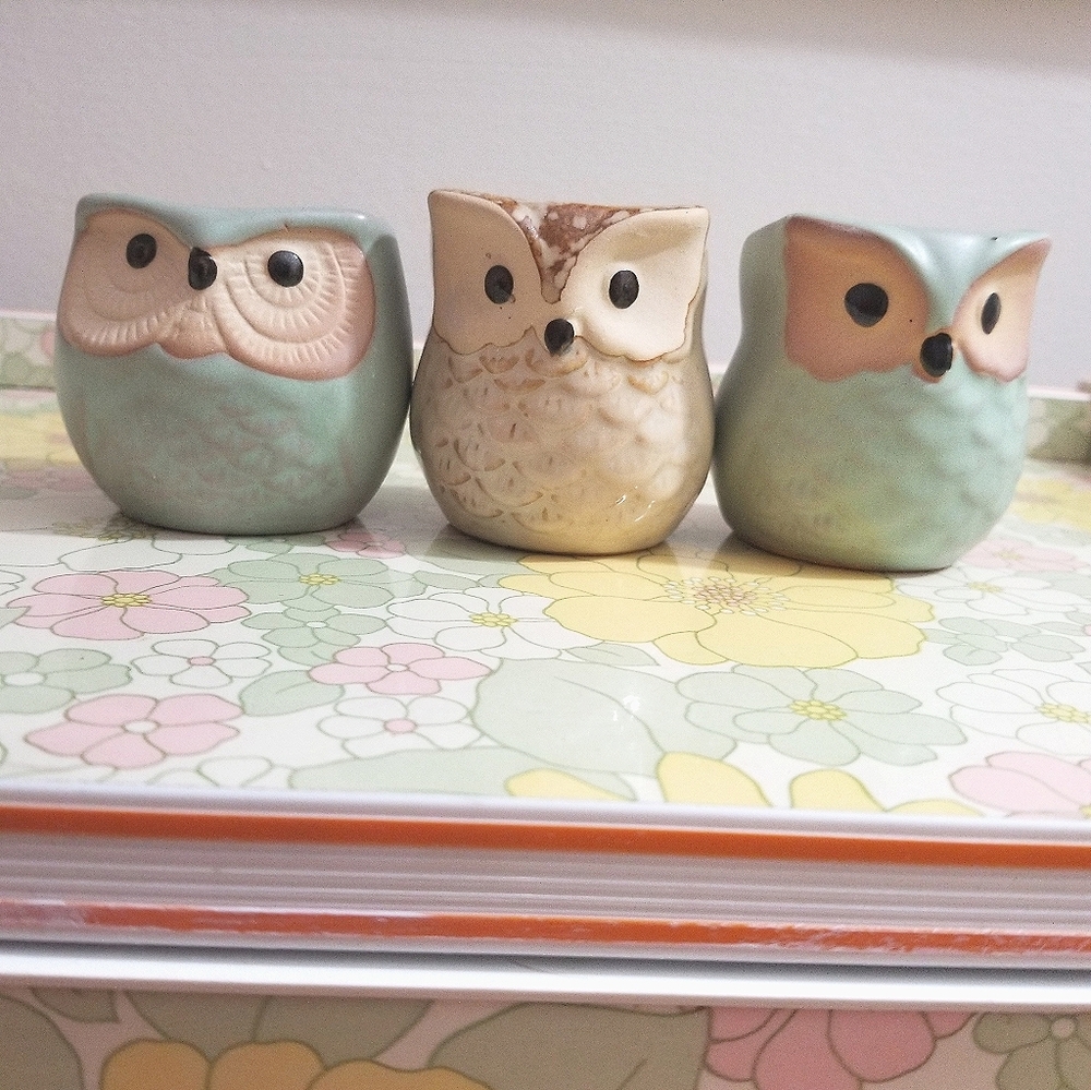 Succulent owl planters or start from seed planters